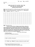 Bài soạn KSCL Toán - TV - HKI - 2010-2011 - L1-L5