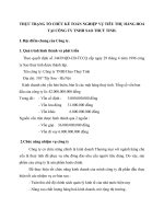 THỰC TRẠNG TỔ CHỨC KẾ TOÁN NGHIỆP VỤ TIÊU THỤ HÀNG HOÁ TẠI CÔNG TY TNHH SAO THUỶ TINH