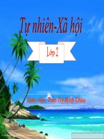 Gián án ường giao thông TNXH lớp 2