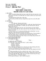 Gián án bài giảng vật lý 7