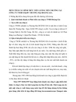 PHÂN TÍCH CÁC HÌNH THỨC TIỀN LƯƠNG TIỀN THƯỞNG TẠI CÔNG TY TNHH SX