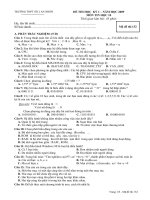 đề thi tin học 10