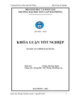 GIẢI PHÁP NÂNG CAO HIỆU QUẢ HOẠT ĐỘNG tín DỤNG TRUNG   dài hạn tại NGÂN HÀNG THƯƠNG mại cổ PHẦN CÔNG THƢƠNG VIỆT NAM CHI NHÁNH bãi CHÁY 