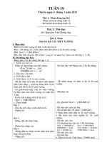 Tài liệu tuan 19 lop 4 CKTKN