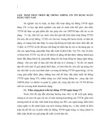 GIẢI  PHÁP PHÁT TRIỂN HỆ THỐNG THÔNG TIN TÍN DỤNG NGÂN HÀNG VIỆT NAM