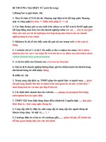Đề Thi  THƯƠNG mại điện tử