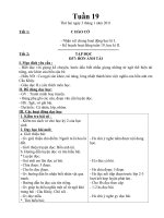 Bài soạn Lớp 4 Tuần 19 CKTKN