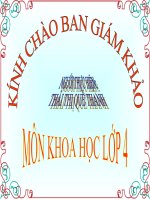 Bài giảng bai 37: tai sao co gio