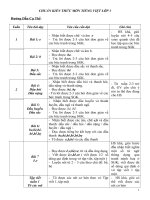 Gián án chuẩn TV1