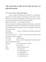 Thực trạng công tác phân tích tài chính tại công ty cổ phần đô thị sông đà.