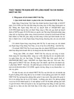 Thực trạng tín dụng đối với làng nghề tại chi nhánh NHCT Hà Tây