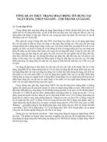 TỔNG QUAN THỰC TRẠNG HOẠT ĐỘNG TÍN DỤNG TẠI NGÂN HÀNG TMCP SÀI GÒN – CHI NHÁNH AN GIANG