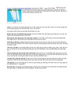 Củ cải - Vị thuốc chữa được nhiều bệnh