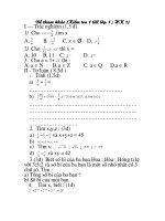 Bài giảng Đề kiểm tra 1 tiết Toán 7 ( Đại số )