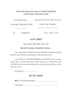 Mẫu giấy phép hoạt động giới thiệu việc làm