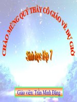 Bài giảng Đa dang và đ đc của ngành thân mềm