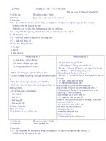 Bài giảng giáo án ghép 1+3