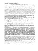 TL Chi đội mạnh