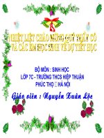 Bài giảng Tiết 49. cấu tạo trong của thỏ