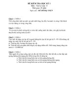 ĐỀ KIỂM TRA HỌC KỲ 1 VẬT LÍ 8-TỰ LUẬN (2010-2011).