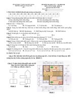 DE KIEM TRA HKI CN 11