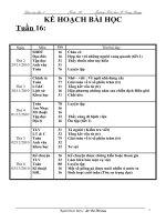 GA lớp 5-tuần 16-CKTKN-KNS-2010-2011