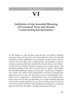 Infelicities of the Intended Meaning of Canonical Texts and Norms Constraining Interpretation