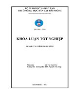 GIẢI PHÁP NÂNG CAO HIỆU QUẢ HUY ĐỘNG vốn tại NGÂN HÀNG THƢƠNG mại cổ PHẦN CÔNG THƯƠNG VIỆT NAM – CHI NHÁNH tô HIỆU 