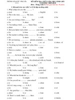 Tài liệu Đề thi HSG lớp 5 môn Tiếng Anh 5 HK II