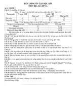 Đề cương ôn tập học kỳ 1 - Địa 11