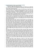 Quá trình hình thành của các công ty xuyên quốc gia