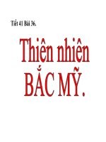 Bài giảng Tiet 41 Thiên nhiên Bắc Mĩ