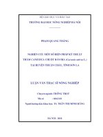Nghiên cứu một số biện pháp kỹ thuật thâm canh dưa chuột bản địa(cucumis sativus l ) tại huyện thuận châu,tỉnh sơn la 