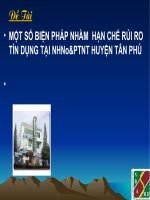 MỘT số BIỆN PHÁP NHẰM  hạn CHẾ rủi RO tín DỤNG tại NHNo&PTNT HUYỆN tân PHÚ 