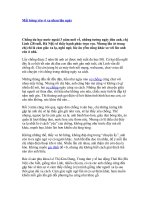 Bài giảng Giao duc gioi tinh 7