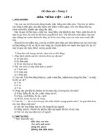 Tài liệu khao sat Tieng Viet 4