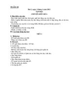 Bài soạn Giáo án tuàn 19 Đã chỉnh