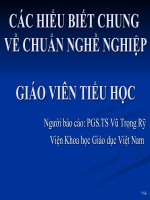 Gián án Viện GD-Những vấn đề về Chuẩn nghề nghiệp GV tiểu học GV Tieu hoc