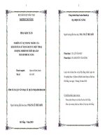 Nghiên cứu sự trung thành của khách hàng sử dụng dịch vụ điện thoại di động mobifone trên địa bàn thành phố đà nẵng 