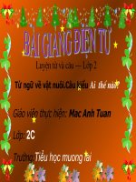 Giáo án điện tử lớp 2