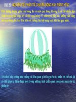 Bài giảng nguyên tử phân tử chuyển động hay đứng yên