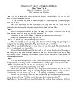 de thi hsg thang 12 mon tieng viet 4