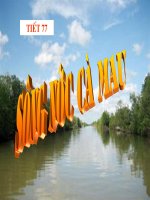 Gián án Song nuoc ca mau