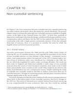 Non-custodial sentencing