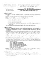 Đề thi chọn đội Tphcm