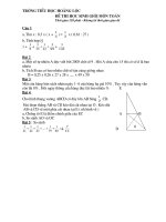 Bài soạn de thi HSG lớp 5