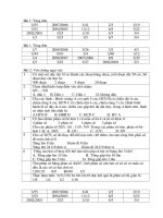 Gián án VIOLIMPIC1011 VONG 11