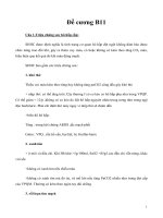 Đề cương B11