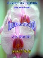 Căn bậc hai của số phức và phương trình bậc hai