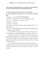 Thực trạng kế toán tiêu thụ hàng hoá và xác định kết quả tiêu thụ hàng hoá tại Công ty TNHH Thương mại và Xuất nhập khẩu Đức Hiếu